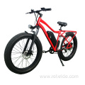 Wide Tyres excellent cross performance electric bicycle